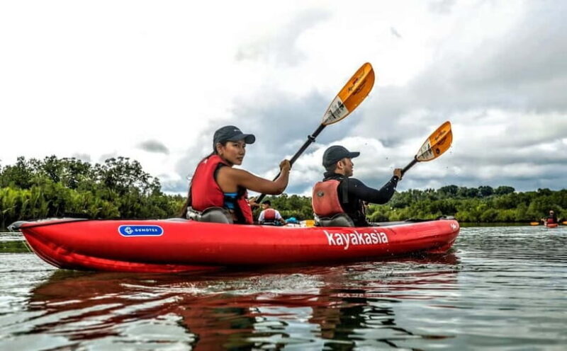 Bohol: SUSTAINABLE Mangrove Tunnels & Firefly Kayaking trail - Key Points