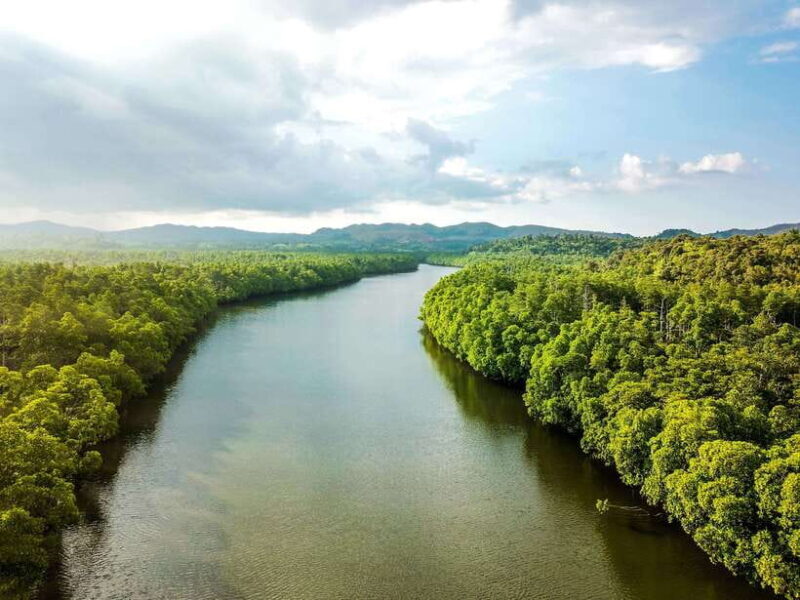 Bohol Tour Package: 3-Day Paradise Adventure - Final Thoughts