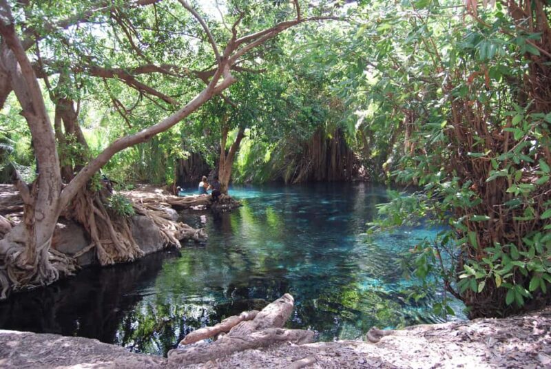 Boma Ng'ombe: Chemka Hot Springs Day Trip - Key Points