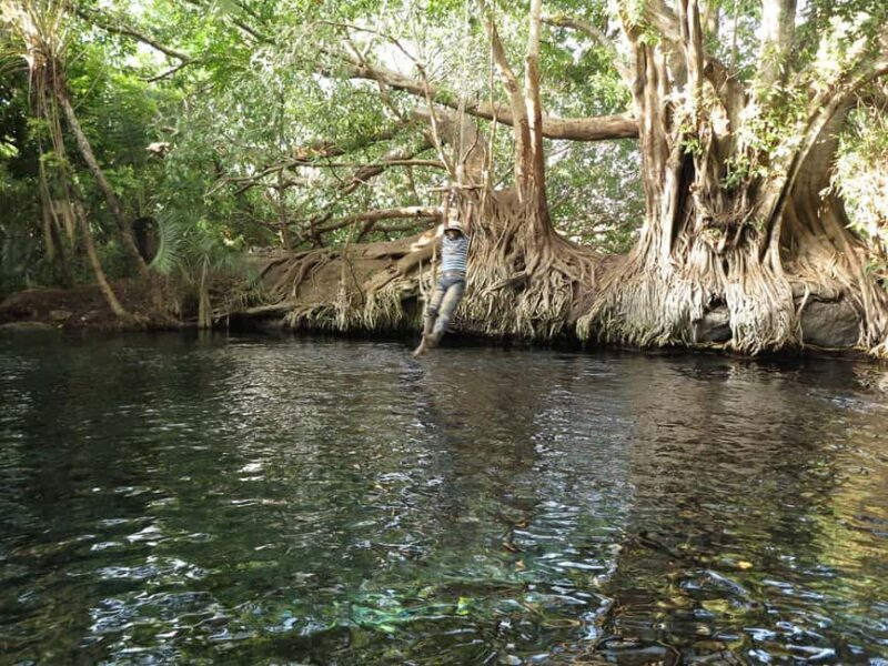 Boma Ng'ombe: Chemka Hot Springs Day Trip - An Authentic Tanzanian Escape: The Chemka Hot Springs Experience