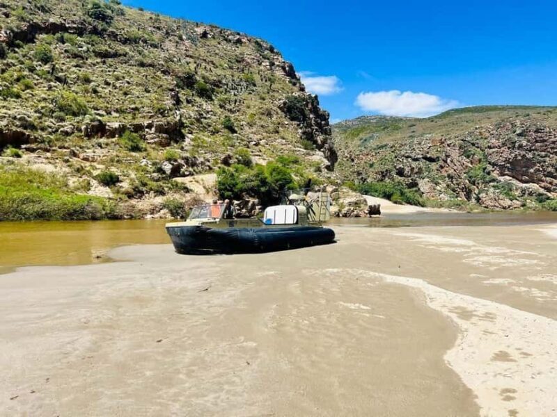 Bon Game Reserve: Hovercraft Adventure - Key Points