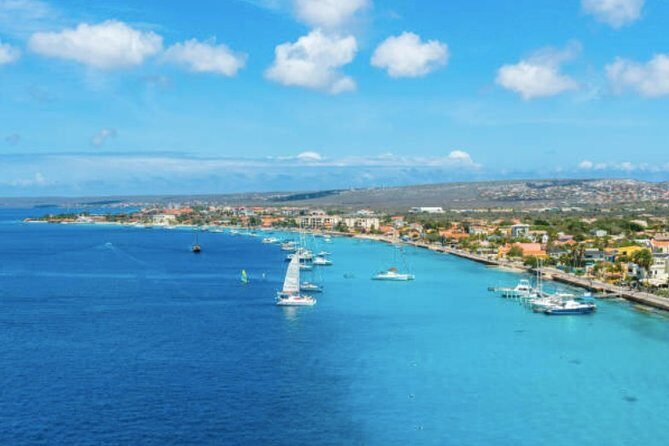 Bonaire Shore Excursion: The Bonaire Highlights Tour - FAQ