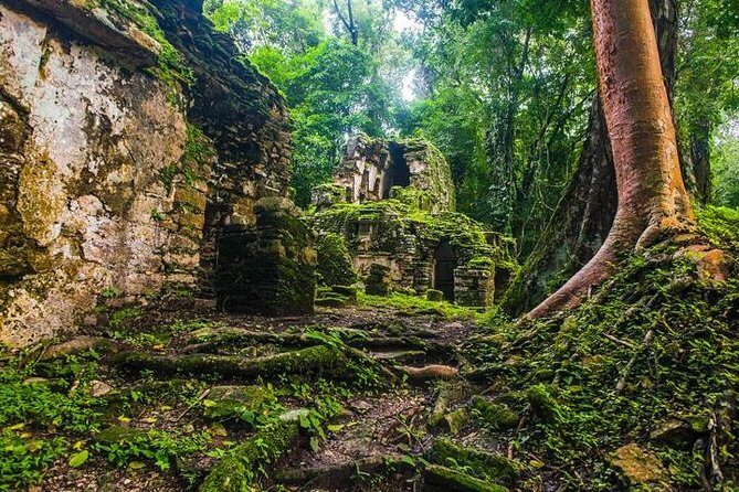 Bonampak & Yaxchilan: Hidden Maya Ruins in the Chiapas Jungle - Group Size and Guides