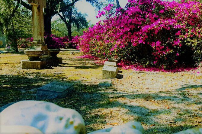 Bonaventure Cemetery Is Forever Tour - The Sum Up: Why This Tour Is Worth Your Time