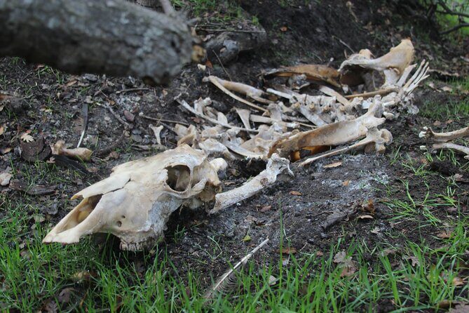 Bone Hunting in Wyoming - Wrapping It Up