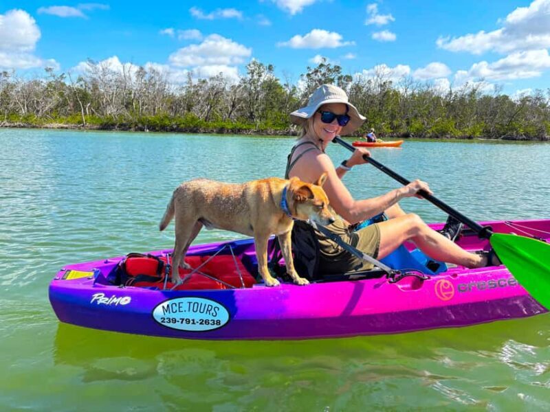 Bonita Springs Clear Kayak Tour with Dolphins & Manatees - An Authentic Florida Kayaking Adventure