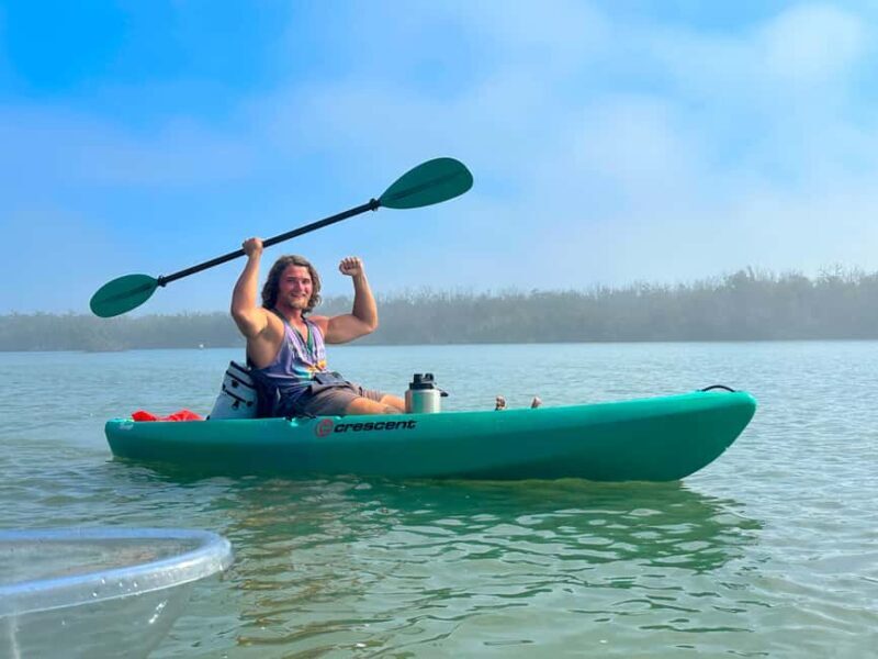 Bonita Springs Clear Kayak Tour with Dolphins & Manatees - A Well-Equipped, Comfortable Experience