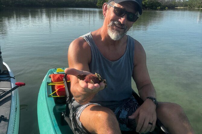 Bonita Springs Eco Kayak Tour Best Gear, Premium&Clear Kayaks - Who Will Love This Tour?
