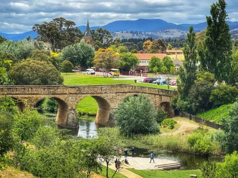Bonorong Wildlife Sanctuary Half-Day Tour from Hobart - The Bottom Line