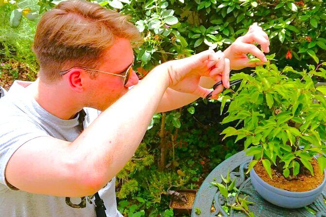 Bonsai Tour & Experience at the Most Sacred City for Bonsai in JP - Key Points