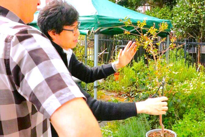 Bonsai Tour & Experience at the Most Sacred City for Bonsai in JP - Summary: Who This Tour Is Best For