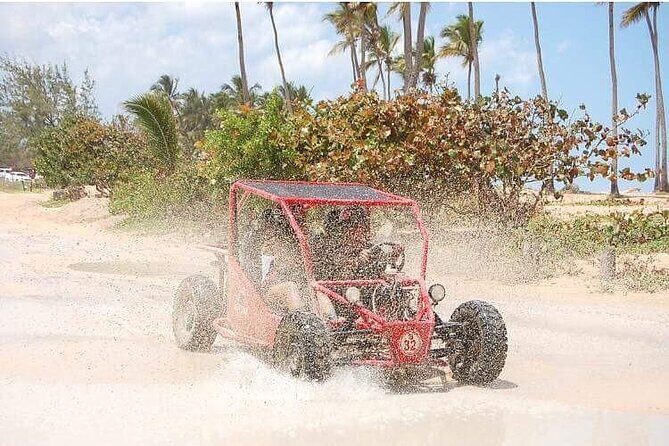 Boogies & Polaris - Explore Punta Cana in a Buggy - Final Thoughts
