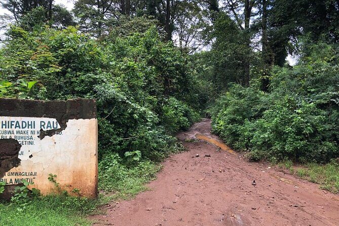 Book Day Hike at Rau Forest Reserve, Near Moshi Town in Tanzania - The Detailed Experience of the Rau Forest Hike