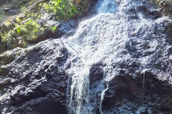 Booloumba Falls & Booloumba Creek Adventure, Conondale Nat. Park - What Makes This Tour Stand Out?