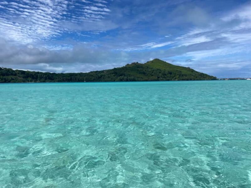 Bora Bora: 1/2 day Coral Discovery tour - Shared tour - Introduction