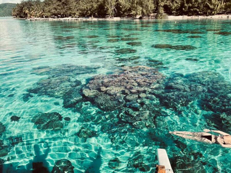 Bora Bora: 1/2 day lagoon safari - Shared tour - Final Thoughts