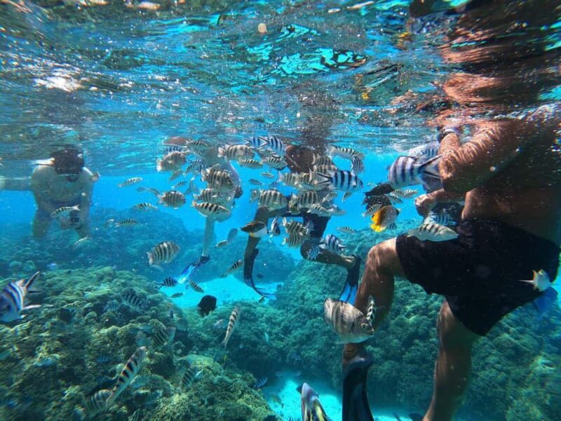 Bora Bora: 3/4 Day Private Lagoon Tour with Lunch&Snorkeling - Discovering Bora Bora’s Lagoon on a Private Boat