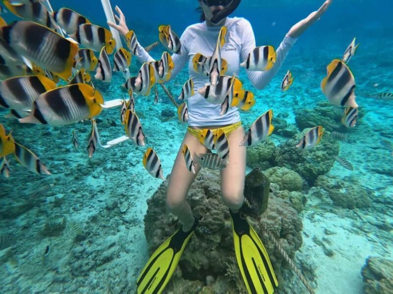 Bora Bora: 3/4 Day Private Lagoon Tour with Lunch&Snorkeling - Authentic Marine Encounters and Cultural Immersion
