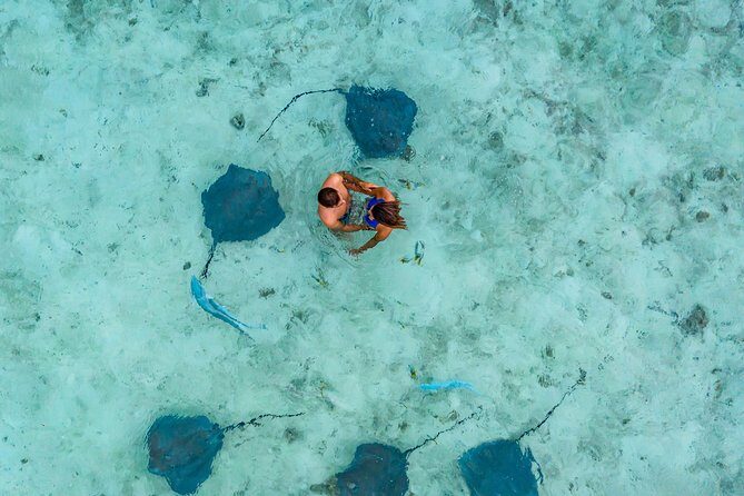 Bora Bora 4WD Tour & Eco Shark & Ray Snorkel Cruise - Who Would Love This Tour?
