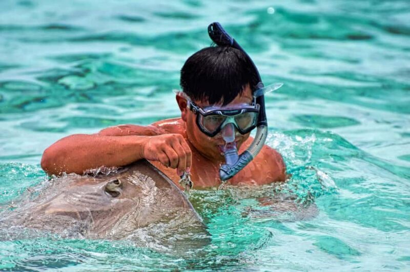 Bora Bora: 4x4 Safari with Snorkelling Combo Tour - An In-Depth Look at the Bora Bora 4x4 and Snorkelling Experience
