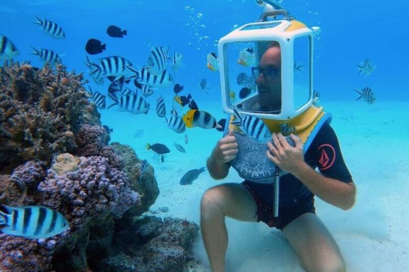 Bora Bora: Aquasafari Helmet Dive & Coral Garden Tour - Practical Tips for Making the Most of Your Tour