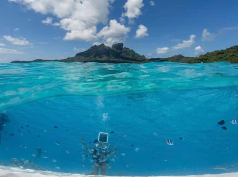 Bora Bora: Aquasafari Helmet Dive & Coral Garden Tour - FAQ