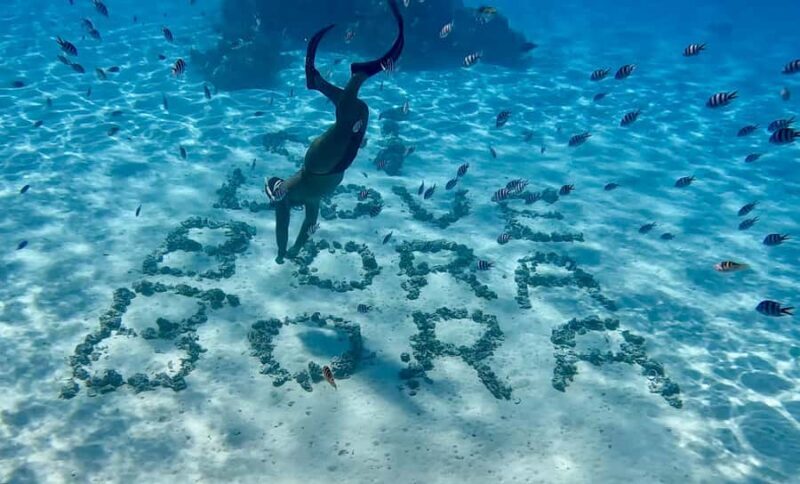 Bora Bora: Blue Lagoon Cruise, Snorkeling and Lunch . - Who Should Consider This Tour?
