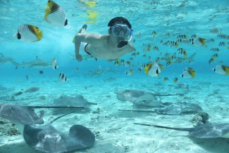 Bora Bora by Land and Sea: 4WD Safari and Snorkel - Real Traveler Perspectives