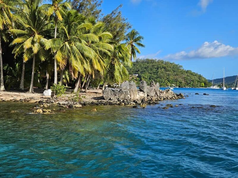 Bora Bora: Complete lagoon tour in 2 hours - Key Points
