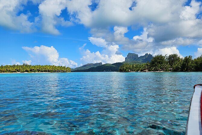 Bora Bora Complete tour of the lagoon in 2H - A Closer Look at the Tour Experience