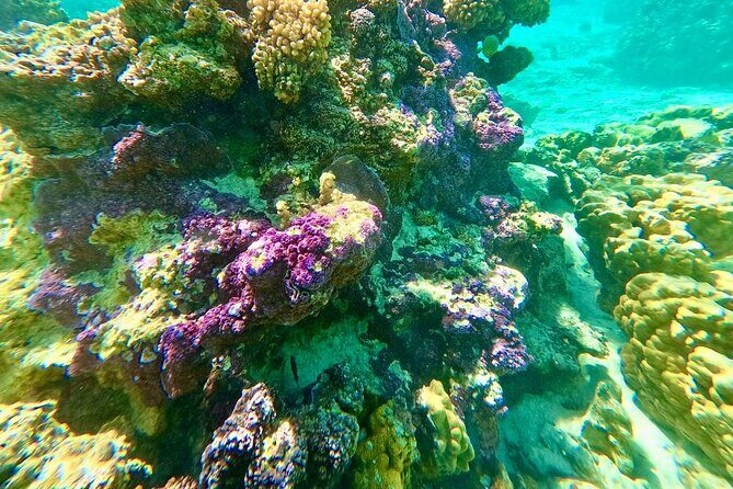 Bora Bora crazy sea and land Adventure - Final Verdict: Is It Worth It?