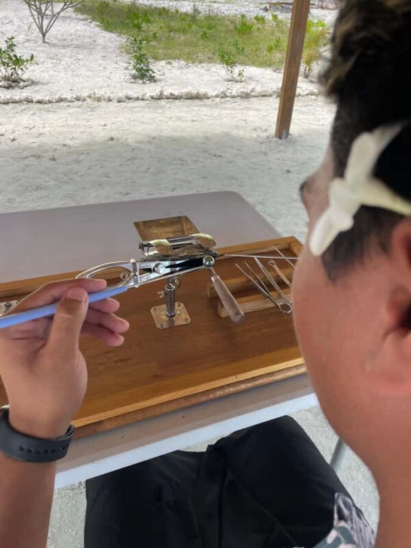 Bora Bora: Discovering the Tahitian black pearl ! - Who Should Consider This Tour?