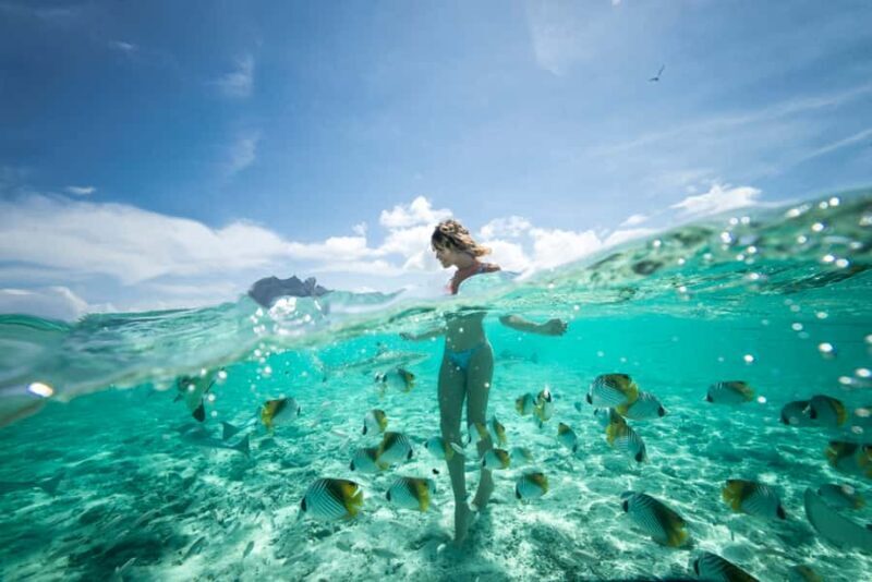 Bora Bora: Eco Shark and Snorkeling Safari - What Makes This Tour Stand Out?