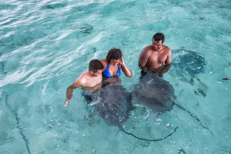 Bora Bora: Eco Shark and Snorkeling Safari - Practical Details and Considerations