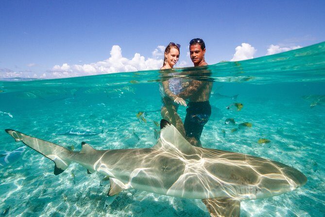 Bora Bora Eco Snorkel Cruise Including Snorkeling with Sharks and Stingrays - The Sum Up