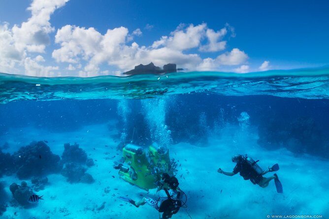 Bora Bora Electric Fun Car Rental - Real Traveler Perspectives: Authentic Insights