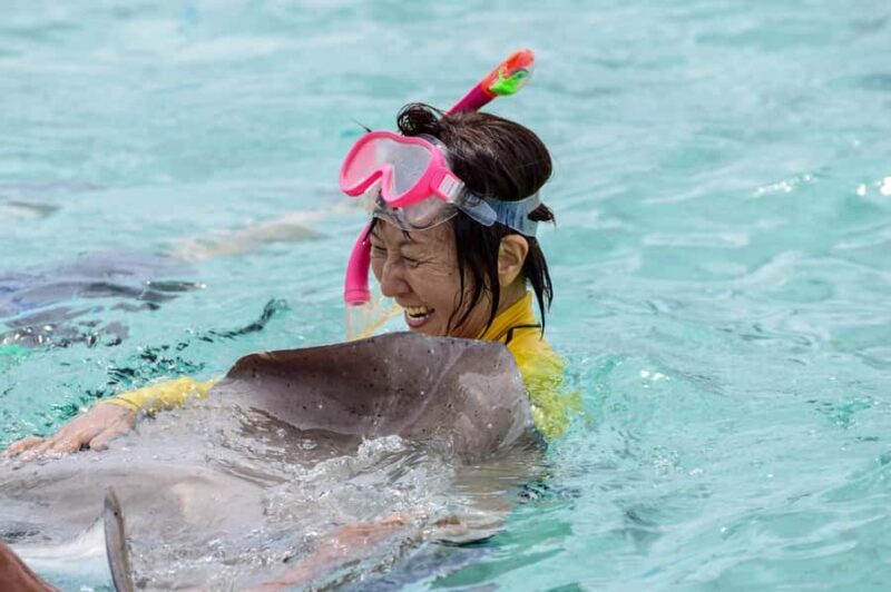 Bora Bora: Full-Day Lagoon Snorkelling Tour - An In-Depth Look at the Tour
