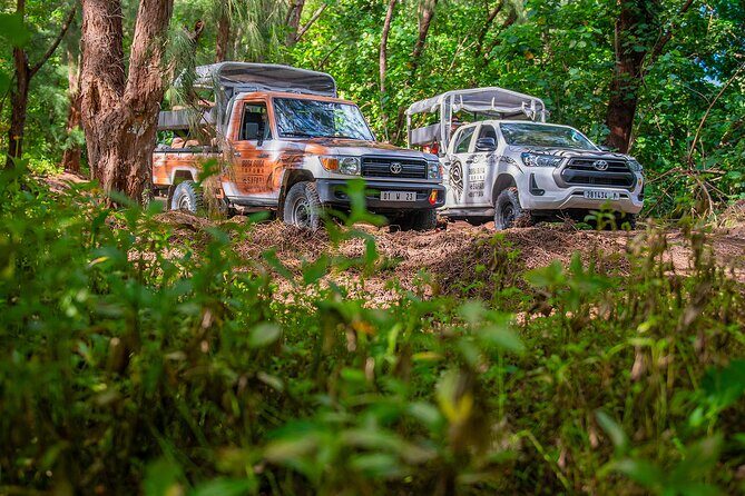 Bora Bora Half Day 4X4 Island Safari Tours - The Itinerary in Detail
