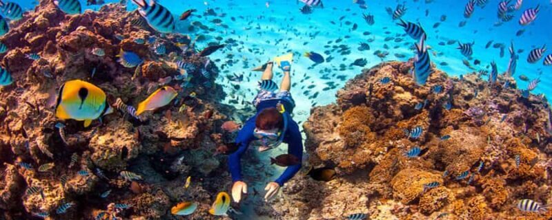 Bora Bora: Half Day Catamaran Sailing & Snorkelling - Key Points