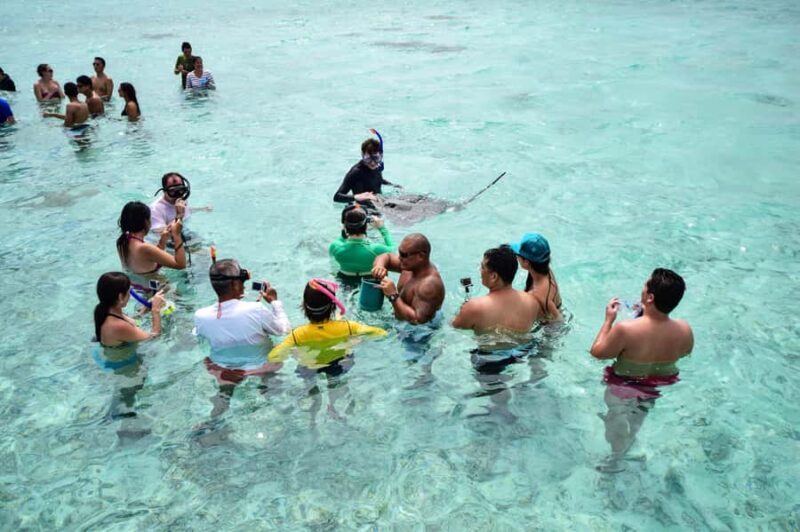 Bora Bora: Half-Day Lagoon Snorkelling Tour - The Experience Breakdown