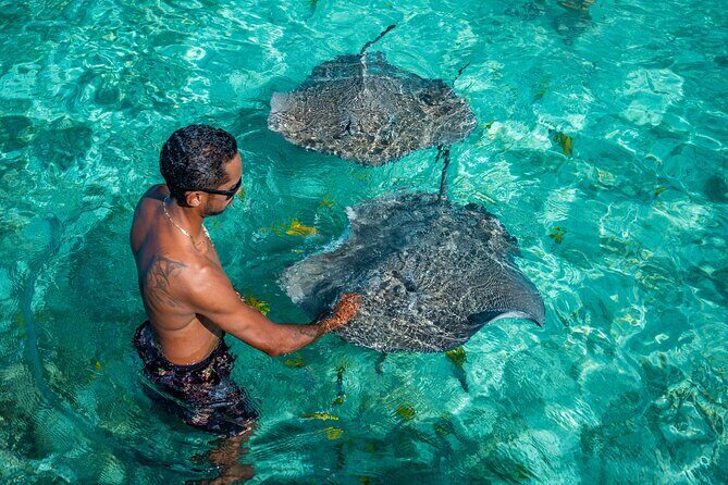 Bora Bora Half Day Snorkeling - The Experience in Detail
