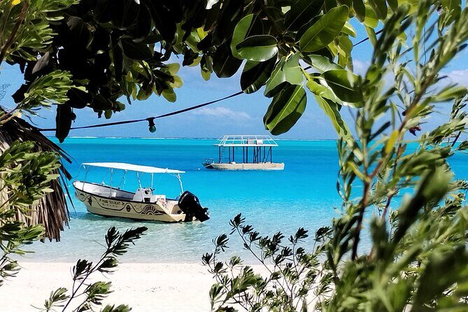Bora Bora Half Day Snorkeling - The Sum Up