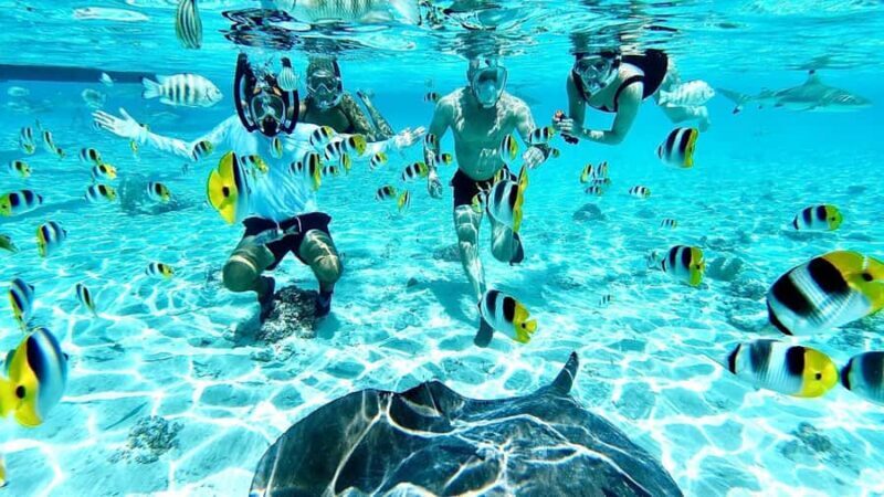 Bora Bora: Half-Day Traditional Canoe Ride in the Lagoon - Key Points