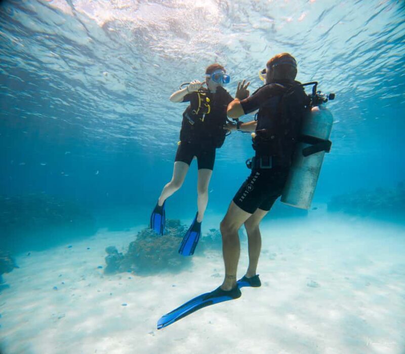 Bora Bora: Introductory Dive - What to Expect Throughout the Tour