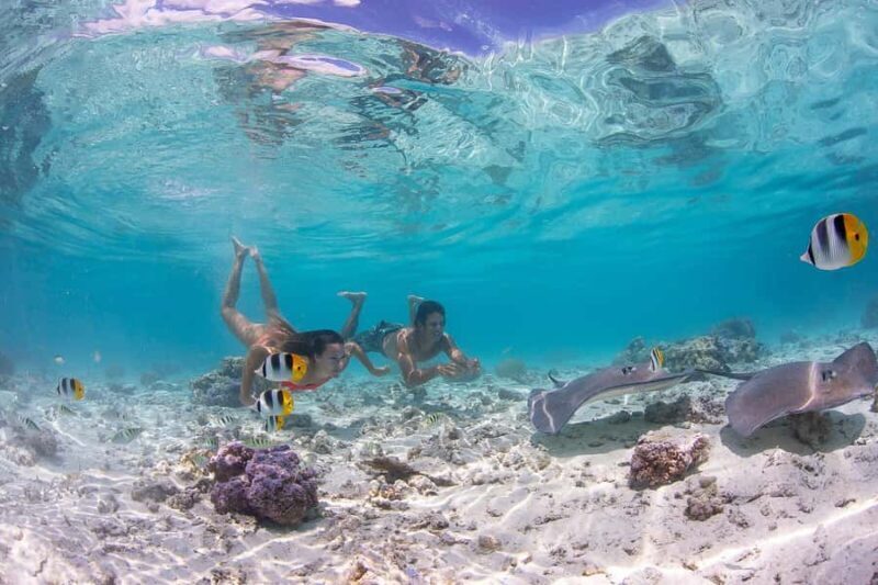 Bora Bora: Jet Ski, Lunch & Shark/ Ray Safari - What to Expect on the Bora Bora Jet Ski, Lunch & Safari Tour