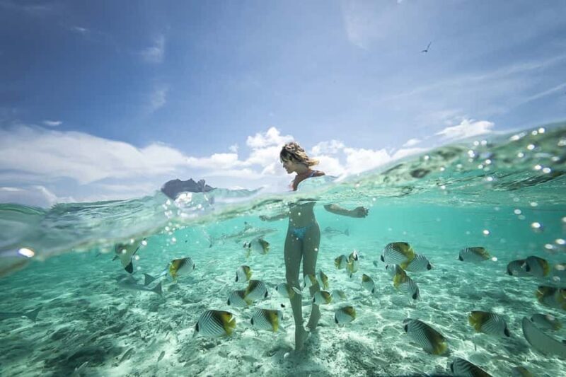 Bora Bora: Jet Ski, Lunch & Shark/ Ray Safari - FAQs