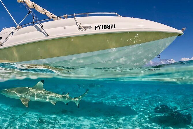 Bora Bora Jet Ski Tour - Frequently Asked Questions