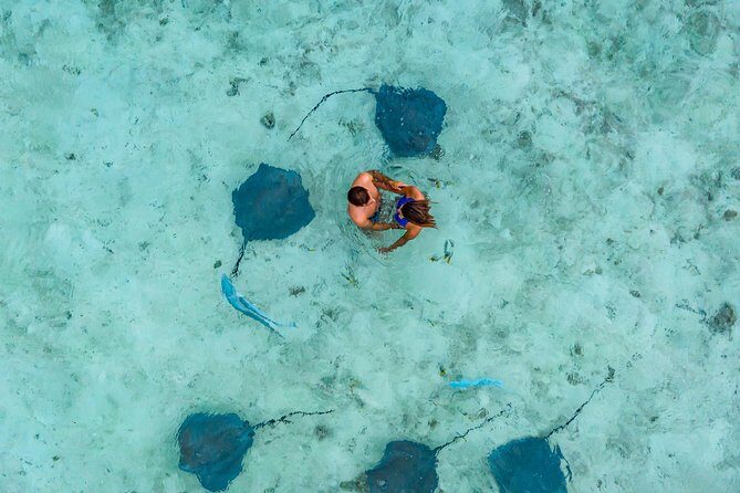 Bora Bora Jet Ski Tour, & Eco Shark / Ray Snorkel Cruise - Practical Considerations