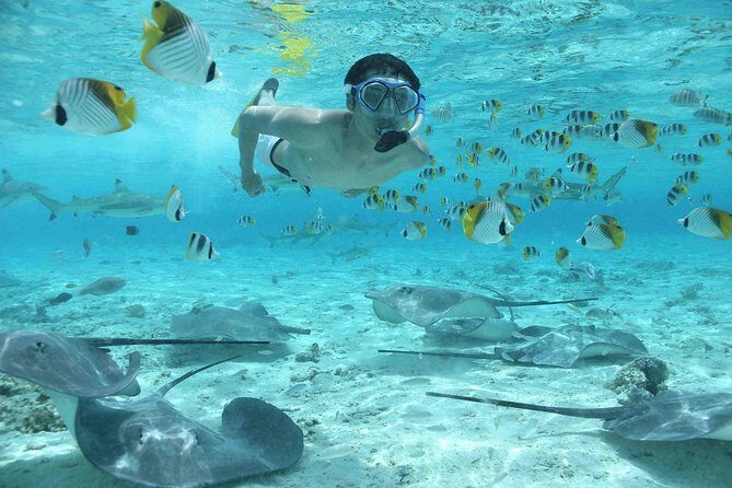 Bora Bora Jet Ski Tour, & Eco Shark / Ray Snorkel Cruise - Frequently Asked Questions