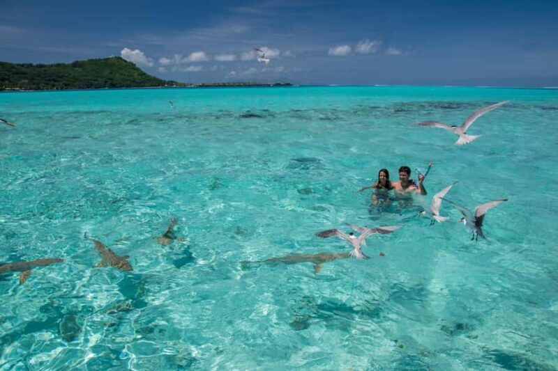 Bora Bora: Lagoon Boat Tour with Snorkeling - What Sets This Tour Apart
